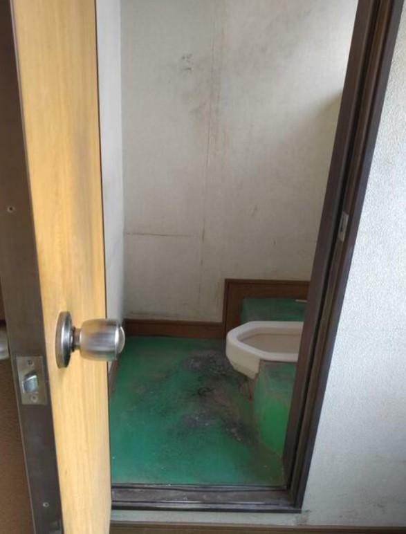 �y�g�C���z�@