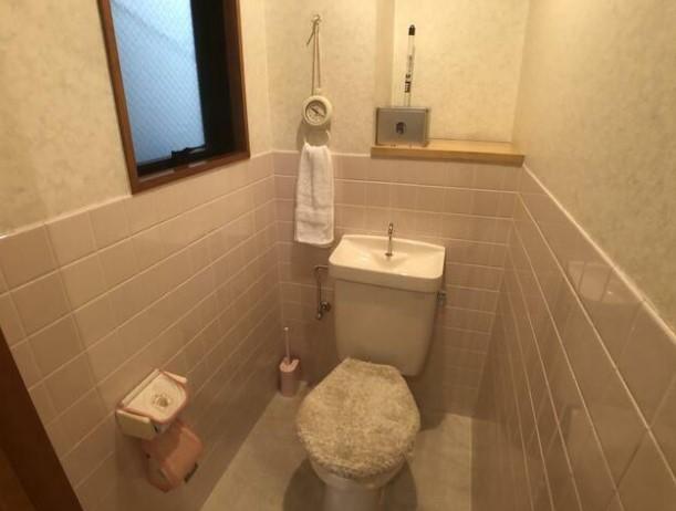 �y�g�C���z�@