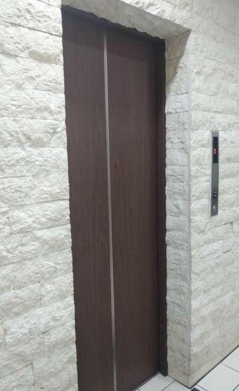 �y���̑����L�����z�@