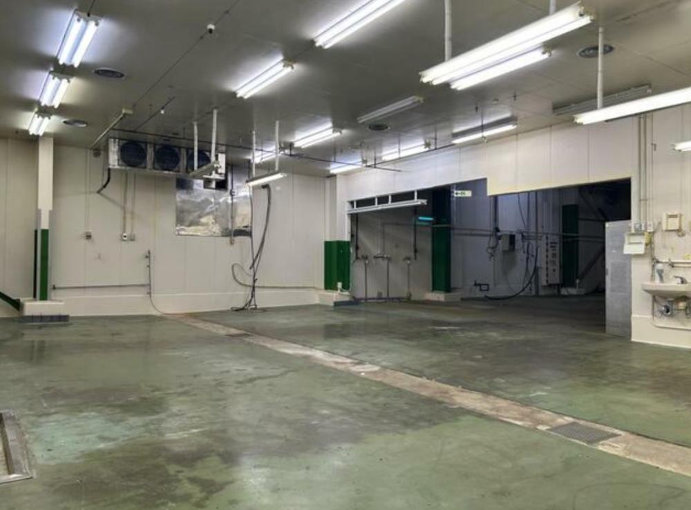 �y���̑������E�X�y�[�X�z�@