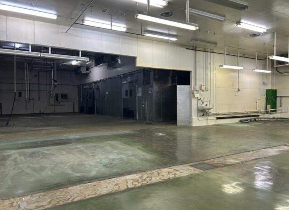 �y���̑������E�X�y�[�X�z�@