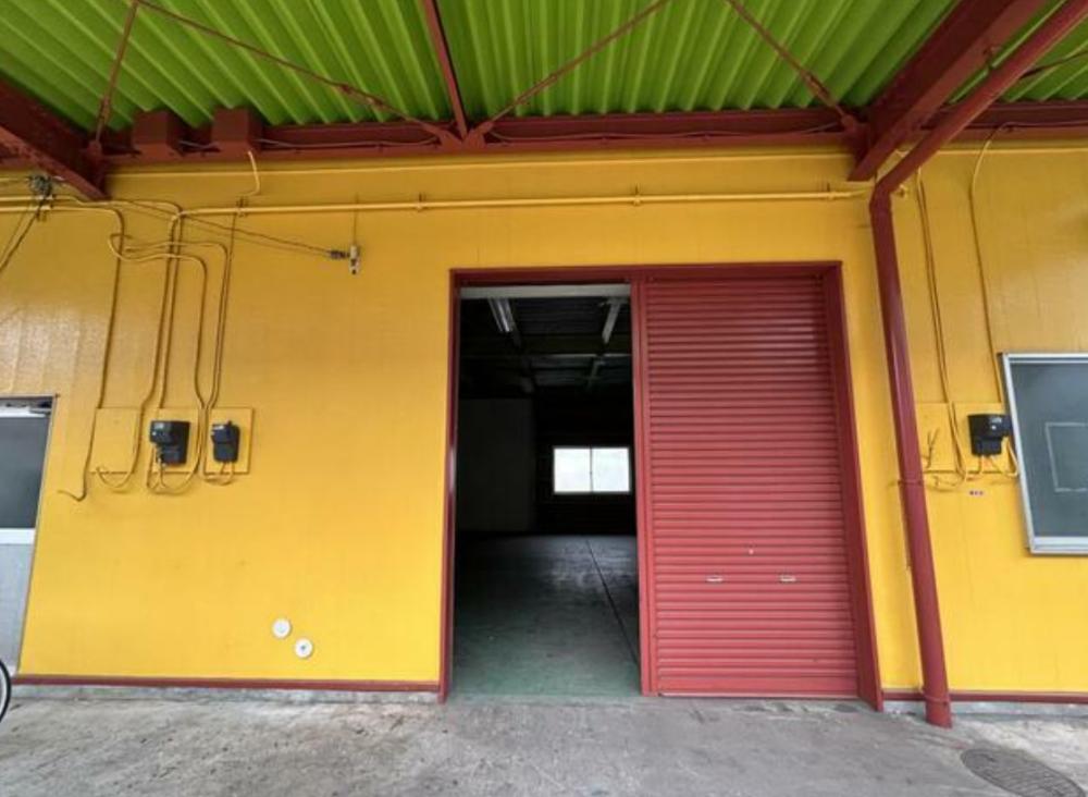 �y�����O�ρz�@