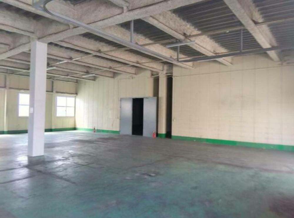 �y���̑������E�X�y�[�X�z�@